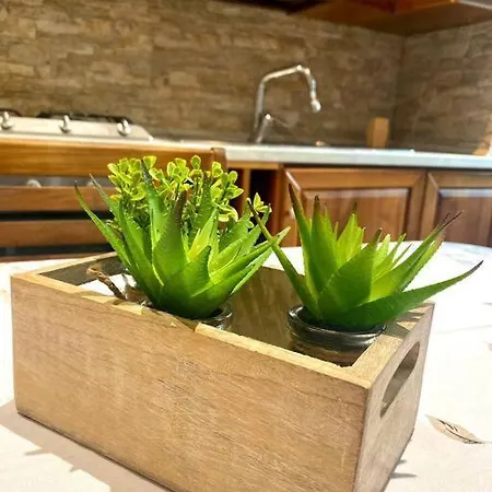 M's Residences Muzio