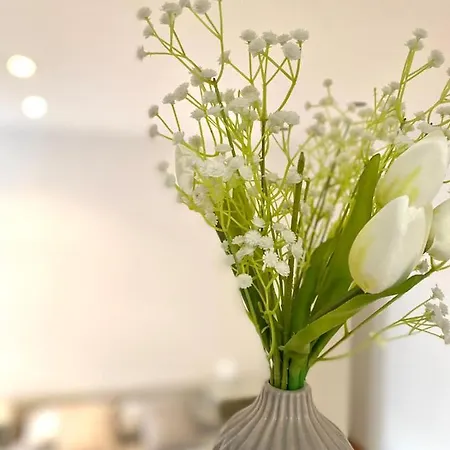 M's Residences Muzio Apartment